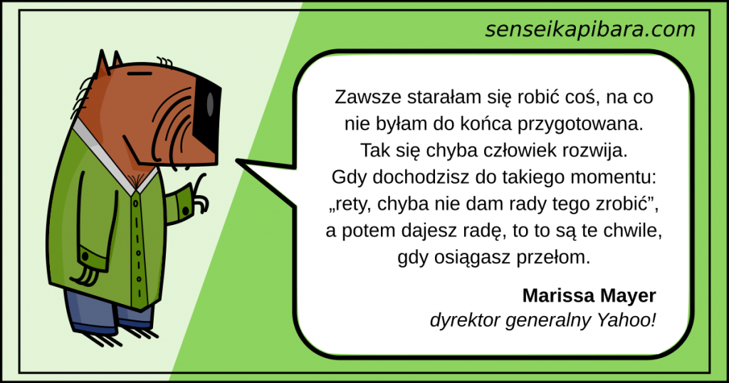 zielony - staram się robić - marissa mayer