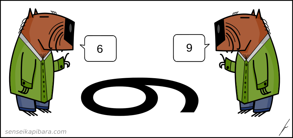 perspektywa