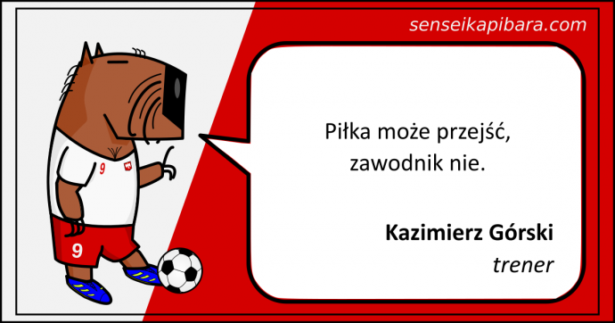 Piłka nożna - piłka może przejść - Kazimierz Górski